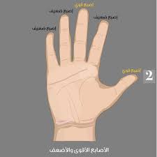 أي يد وأصابع هي الأقوى إجابتك تحد د الكثير من معالم شخصيتك مجلة الجميلة