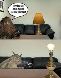 Check spelling or type a new query. Autismus Prime Beitrage Facebook