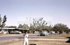 Lois" in a Yard in Tempe