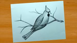 Simple Pencil Drawing Ideas Bird Drawing And Shading Youtube Does creating beautiful art while soothing stress at the same time sounds like your idea.