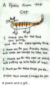 Memes Poems And Poem From The A Cat I Thank You For The Food You Bring And For My Little Squeaky Thing I Thank Y Cat Poems Crazy Cats Mothers