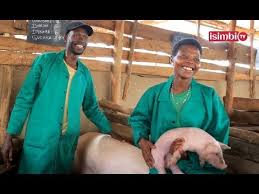 Chade mandyal fan=bebe bapu star fan= sidhu musse. Kayitesi Na Cheri We Bamaze Imyaka 6 Bibera Mu Ngurube Youtube