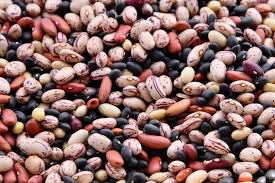 Son capaces de resistir en ambientes finalmente, dada la capacidad adherente de las lectinas a las células que conforman el tapizado del tracto digestivo, la absorción de nutrientes y su. Alimentos Ricos En Lectinas Para Anadir A Tu Dieta Cultura Fit