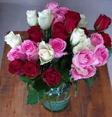 Check spelling or type a new query. Itap Of Roses For My Wife Itookapicture