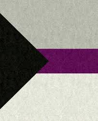 Black And White Flag Meaning Sexuality Pin On Story Inspirations