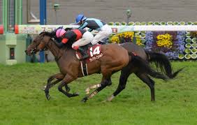 The latest tweets from ケイン・ヤリスギ「♂」 (@kein_yarisugi). Bepdxay1dttthm