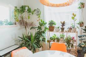This 119 Year Old Denver Home Is A Plant And Animal Filled Miniature Zoo Plants Plant Shelves Shelves