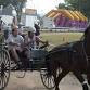 Luddenham Show 2026 event image