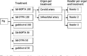 Figure 1 From Contrast Enhanced Magnetic Resonance