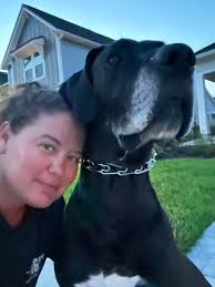 Rising artist Sofia Isella had a vision for her most recent music video...  a vision with giant black dogs. So, when @crushmusic reached out asking if  we had the canines for the