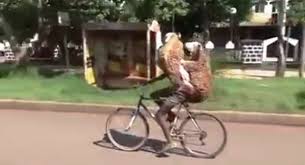 A Funny Bicycle Riding Video Clip Funny Gif A Funny Video Clip