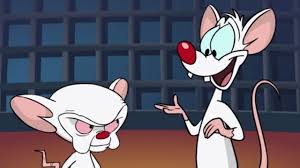 They're laboratory mice their genes have been spliced they're dinky they're pinky and the brain, brain, brain, brain brain, brain, brain, brain brain. Mix On Twitter Pinky And The Brain Are Coming Back To Take Over The World Https T Co Dtgfbc66yu Are You Fan Of Pinky And The Brain Https T Co Wniw6umgxc Twitter