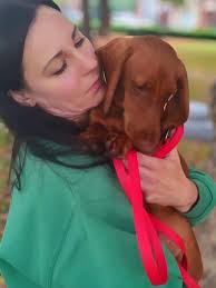 Hello, my name is Teddy, and I'm 20 weeks old and I've just found my  forever home