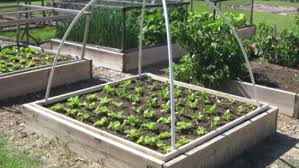 Then choose where to plant your garden before you make a solid garden plan. Diy Pvc Grow Light Stand Finegardening