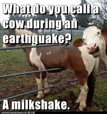 Pin By Stallings Crop Insurance On Crop Insurance In 2020 Super Funny Pictures Funny Pictures Fails Memes Funny Faces