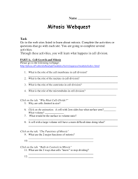 There are questions, venn diagrams, charts, and pictures. Mitosis Webquest Airport High School