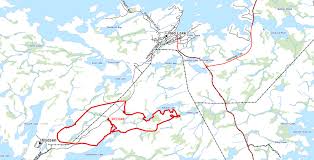 The 0.1 hectare fire has been called out. Ontario Municipality Being Evacuated Due To Forest Fire News