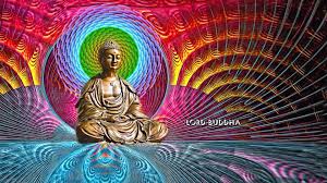 We did not find results for: 73 Buddha Wallpaper 1920 1080