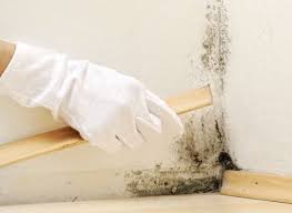 La Moisissure Qui S Installe Dans Nos Maisons Si On Ne S En Occupe Pas Peut Devenir Un Vrai Cauchemar Taches De Moisissure Trucs Et Astuces Maison Moisissure