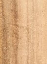 Queensland Maple The Wood Database Lumber Identification