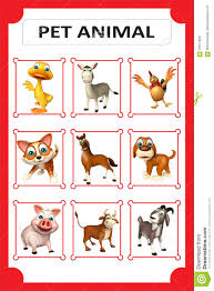 Pet Animal Chart Stock Illustration Illustration Of Cartoon