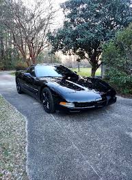 He must like the hot motor just got back from dinner ...