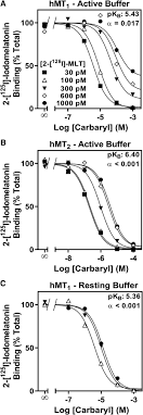 Original file ‎(2,272 × 1,704 pixels, file size: Hamster Picture 835 1000 Jpg Hamster Picture 835 1000 Jpg 2 Hamsters Hamster Wheel Jpeg Quality Changer Examples Click To Use Wordgafo