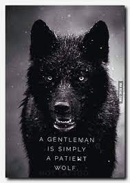 Unsere dienstleistungen im bereich zahnimplantate. 87 Wolf Ideen Krieger Zitate Wolf Hunde Weisheiten