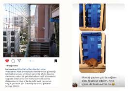 Winblock Pencere Guvenlik Sistemleri Cocuklar Icin Pencere Guvenlik Sistemleri Pet Kedi Kopek Dusme Onlem Parmaklik Dusme