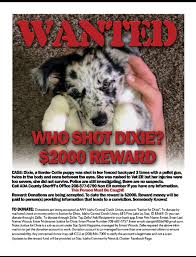 Uber users in atlanta, baltimore, cleveland, dallas, washington, d.c., indianapolis, los angeles, phoenix, and seattle can just open the app and request a puppies visit in essentially the same. 4000 Reward Offered For Dog Killer