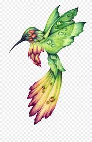 4 step:3 draw face parts of hummingbird. Habitat Drawing Hummingbird Clipart Free Hd Png Download 775x1212 747067 Pngfind