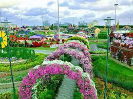 dubai miracle garden ميراكل جاردن دبي miracle garden dubai garden features
