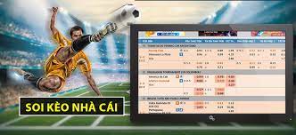 Hãy học hỏi cách soi kèo nhà cái từ những chuyên gia giàu kinh nghiệm. HÆ°á»›ng Dáº«n Cach Ä'á»c Keo Bong Ä'a Chi Tiáº¿t A Z Nha Cai 24h