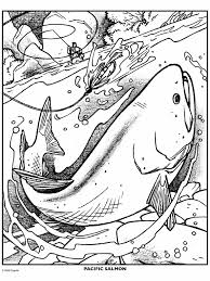 Make a coloring book with fish printable for one click. Salmon Fish Crayola Com