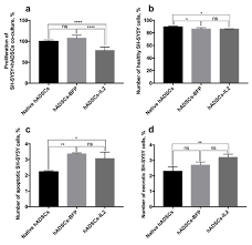 Learn how to use kv1435 within minutes. Bioengineering Free Full Text Human Mesenchymal Stem Cells Overexpressing Interleukin 2 Can Suppress Proliferation Of Neuroblastoma Cells In Co Culture And Activate Mononuclear Cells In Vitro Html
