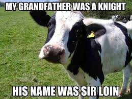 Vitamin Ha Random Funny Memes 12 Pics Cows Funny Cow Puns Corny Jokes