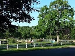 Een mooie tiende plaats voor sophia mulder tijdens ek u20 op 15 en 16 juli in tallinn. Rikkert Stables Home Facebook