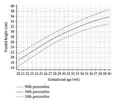 Fundal Height Growth Curve At The 90th 50th And 10th