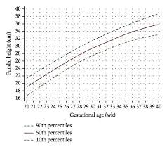 fundal height growth curve at the 90th 50th and 10th