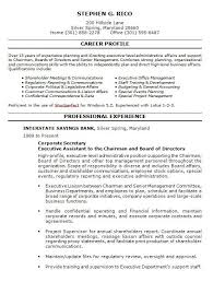 10 Samples Of Professional Resume Formats You Can Use In Job Hunting Resu Professional Resume Writing Service Resume Writing Services Resume Writing Examples