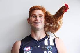 Lucciana beynon displays her hyperactive side in a skimpy swimsuit; Geelong Cats Afl Wacky Wednesday Kicks Off Dangerfield Leads Celebrations 7news