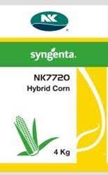 Usually ships within 3 to 4 days. Corn Syngenta