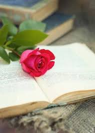 صور ورد صور زهور بوكيه ورد بوكيهات زهور بوكيهات ورد فرح Book Flowers Flower Quotes Quotes About Photography