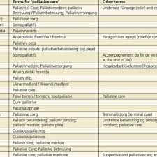 Palliative care is part of that, but it's just one part. Pdf White Paper On Standards And Norms For Hospice And Palliative Care In Europe Part 1