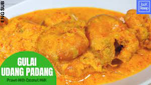 Bahan resep gulai ayam padang : Resep Gulai Udang Khas Padang Prawn With Coconut Milk Recipe Masakan Padang Youtube