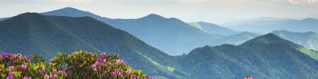 We did not find results for: Jessicah Cross Morgantown West Virginia United States Professional Profile Linkedin