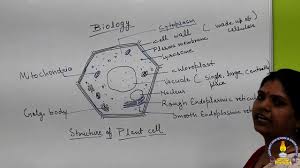 Maybe you would like to learn more about one of these? Class Ix Bio Plant Cell Structure Youtube
