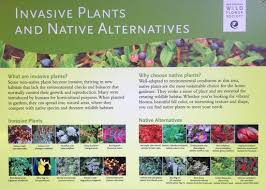 Maybe you would like to learn more about one of these? Entrance To Garden In The Woods Picture Of New England Wild Flower Society Garden In The Woods Framingham Tripadvisor
