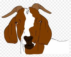 They help us to know which pages are the most and least popular and see how visitors move around the site. Boer Goat Anglo Nubian Goat Drawing Clip Art Boer Goat Anglo Nubian Goat Drawing Clip Art Free Transparent Png Clipart Images Download