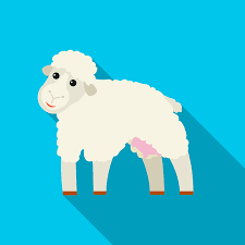 Leuke dingen na tekenen makkelijk : Vector Schets Cartoon Stijl Schapen Geisoleerde Illustratie Op Een Witte Achtergrond Hand Getekend Dier Zonder Hoorns Rundvee Boerderij Veehouderij Dier Wol Lamsvlees Producten Ontwerp Object Royalty Vrije Cliparts Vectoren En Stock Illustratie